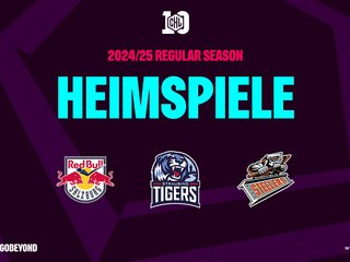 Jetzt Tickets für die Champions Hockey League kaufen