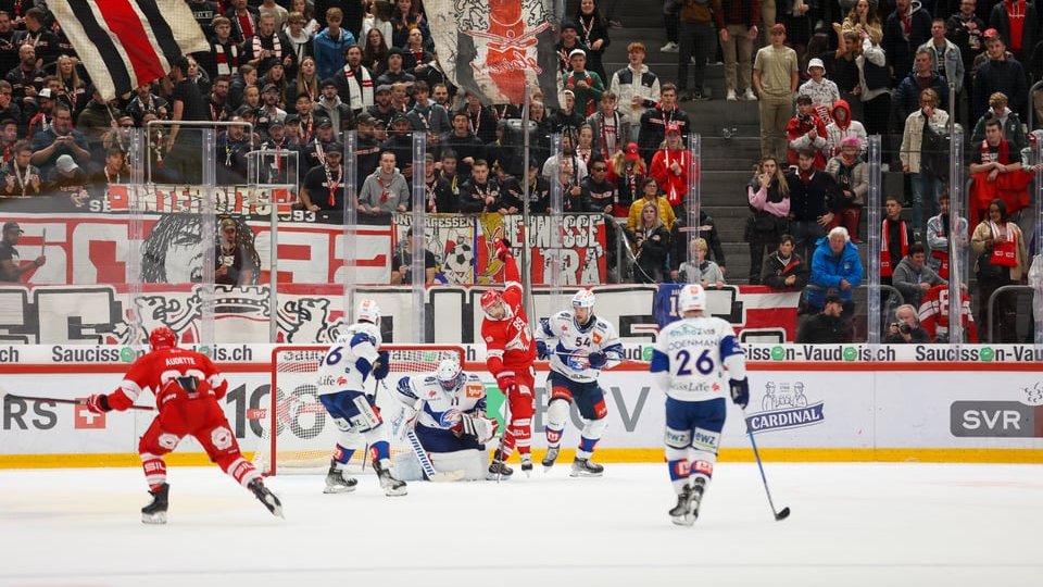 Löwenduell im Waadtland