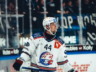 Highlights vs. Fribourg