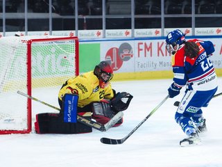 Berner Wochenende für die Lions Frauen